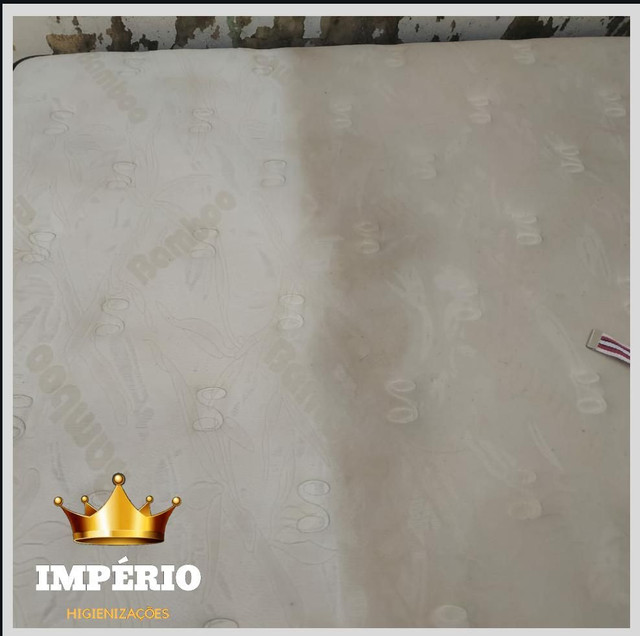 Higienização - Foto 4