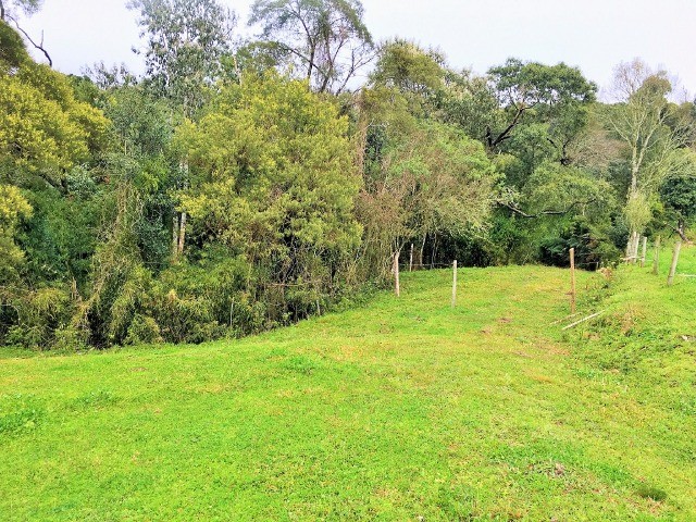 Área 2 Hectares com Container em Urubici - Foto 3