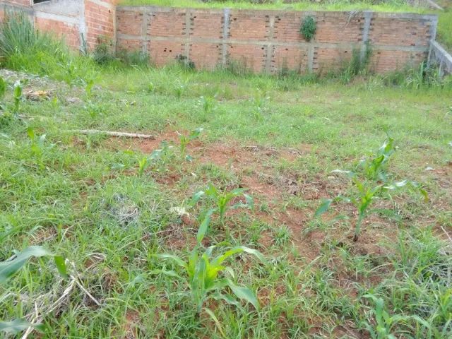 Sua oportunidade chegou: Terreno e chácara em área rural, pertinho do Centro. - Foto 6