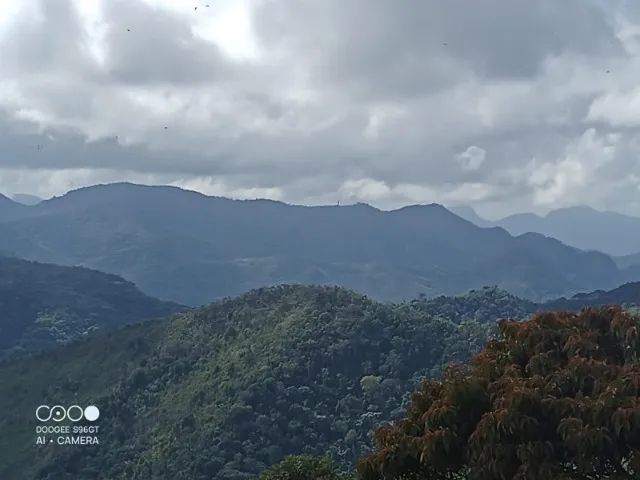 1.250m² novo  circuito da neblina a 2.5 km da Represa Rio Bonito, Santa. Maria Jetibá ES - Foto 10