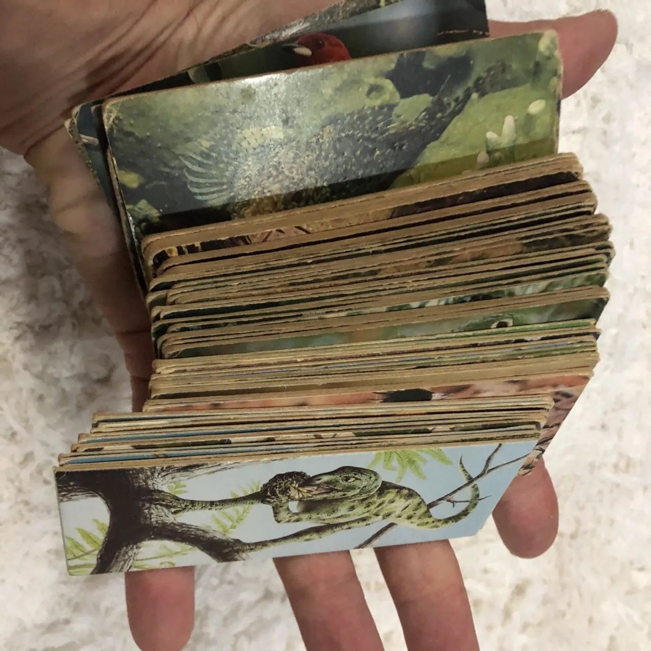 Coleção álbum surpresa Nestlé - Foto 5