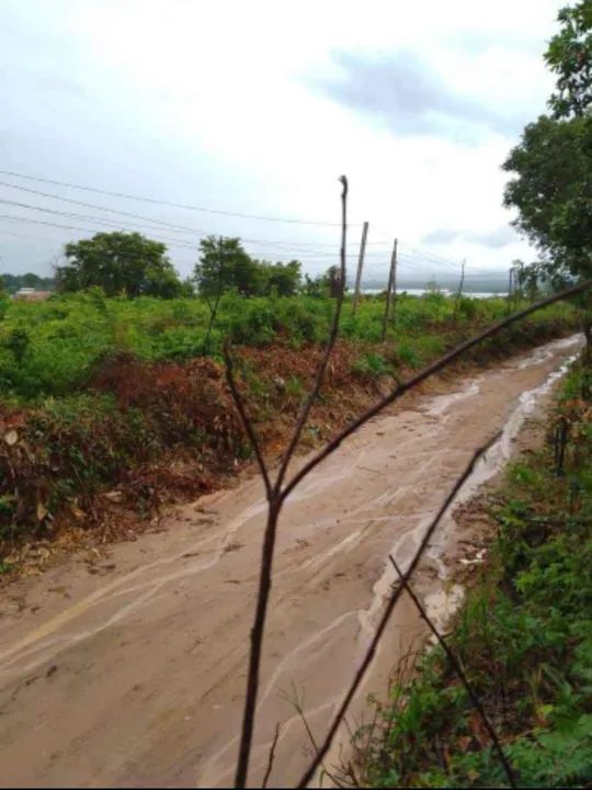 foto - Manaus - Jorge Teixeira