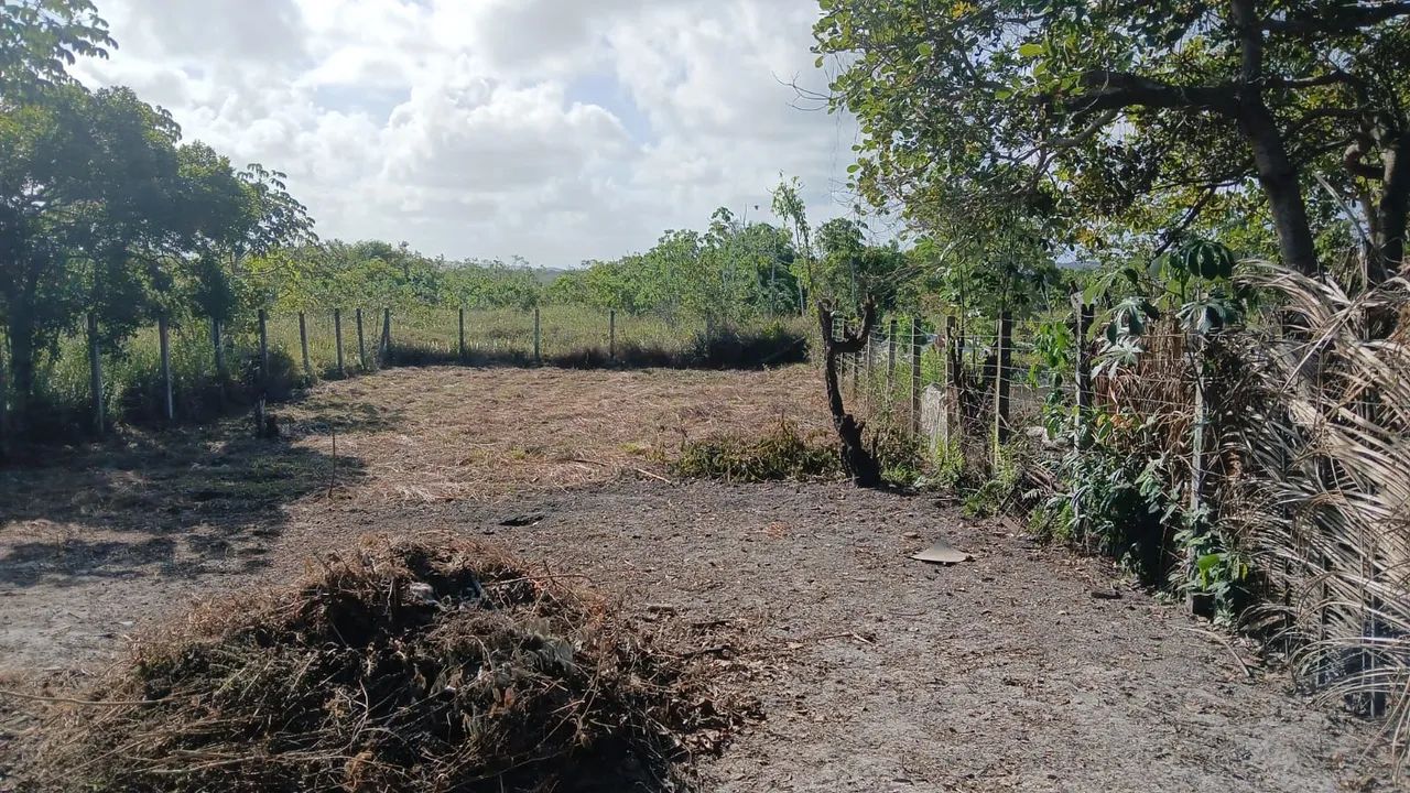 SEU REFÚGIO DE PAZ e NATUREZA: Sítio Amplo, Murado. - Foto 11