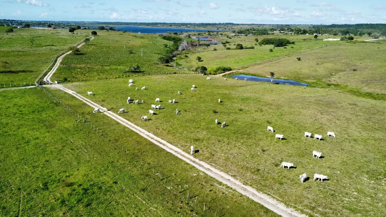 fazenda com 150 hectares entre Macaiba e vera cruz um Luxo de fazenda