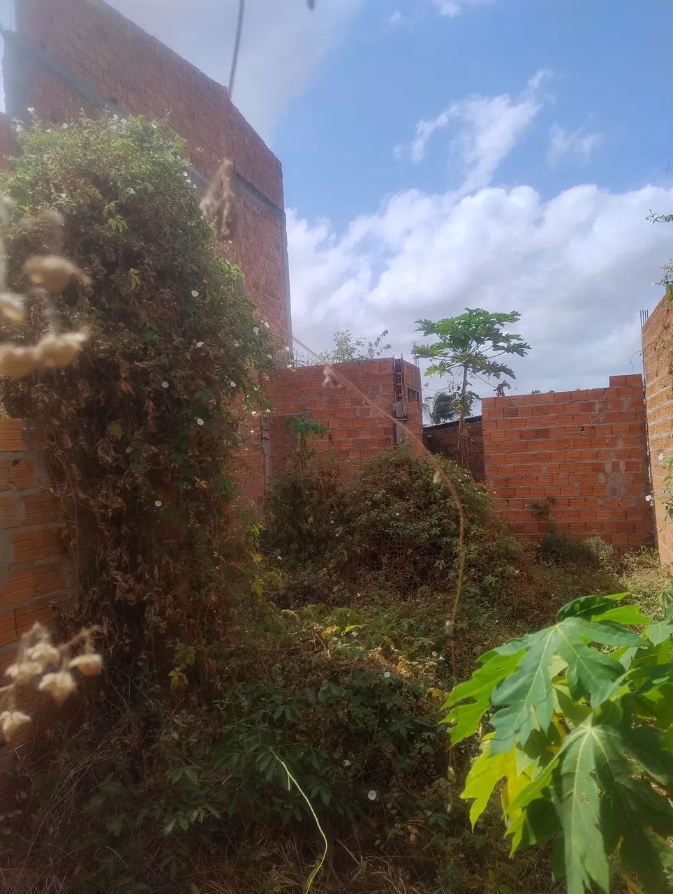 Vendo terreno ao lado da parada de ônibus no Eugênio Pereira Paço do Lumiar. - Foto 3