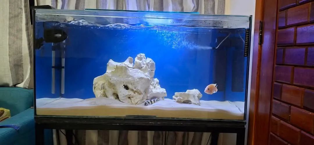 Aquário 200 litros COMPLETO - Foto 2