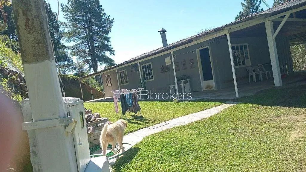 Chácara /Roça Velha SJP - Foto 6