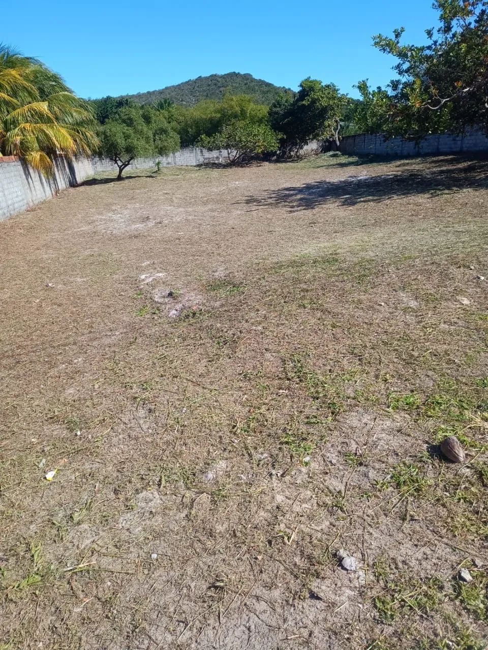 Terreno em Busca Vida - Foto 4