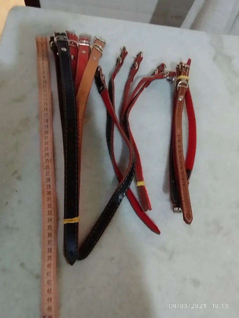 Acessórios para cães -Novo - Foto 5