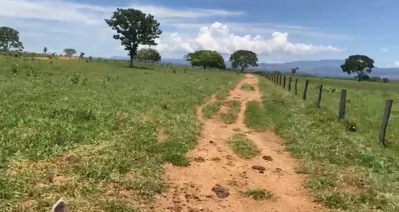Fazenda com  745 hectares - Foto 2