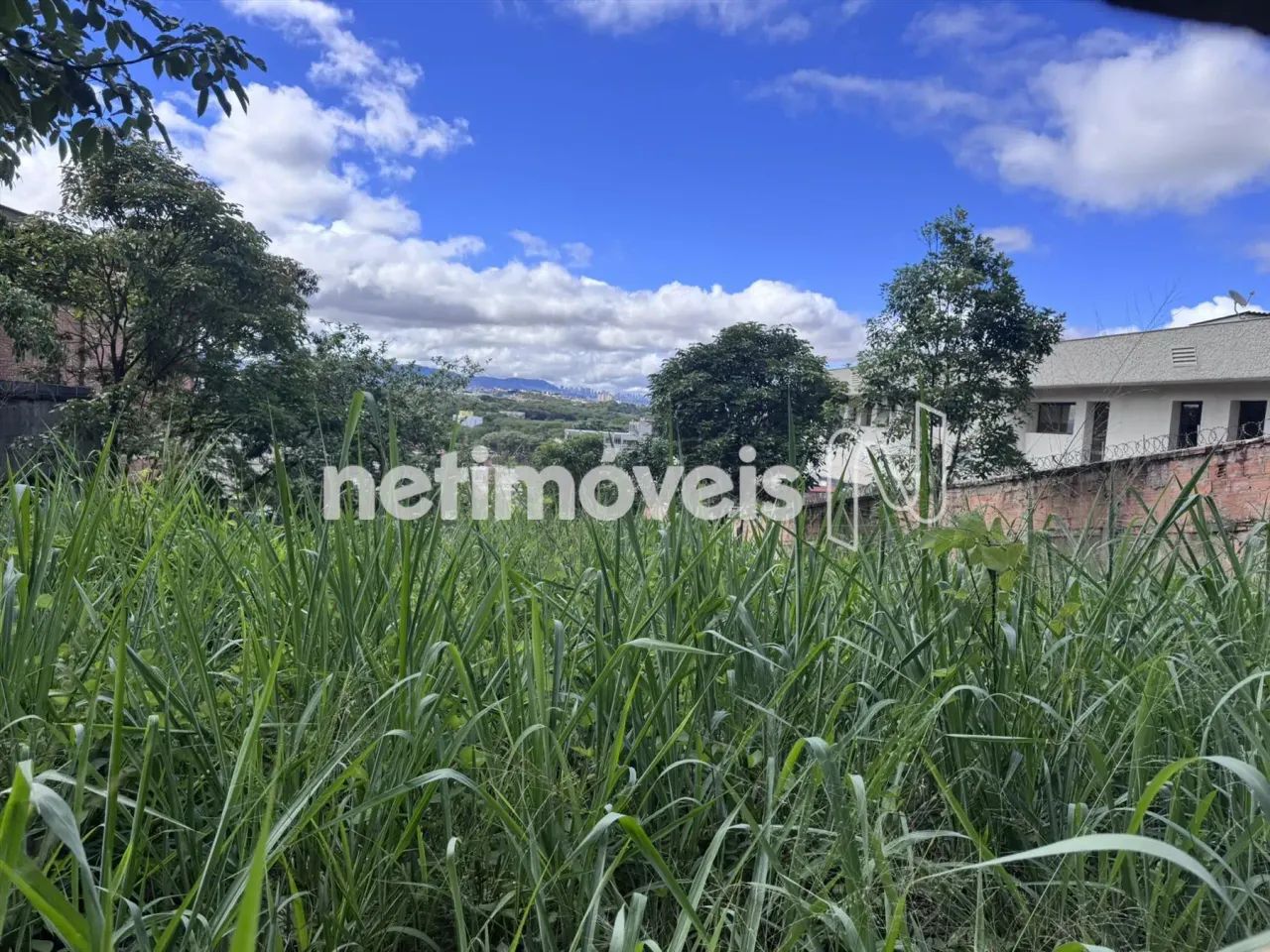 Lote no São Luiz