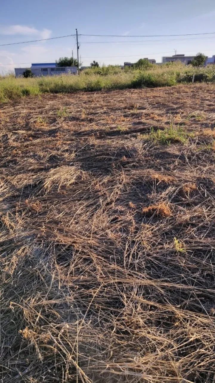 Oportunidade - terreno no alto das palmeiras  - Foto 4