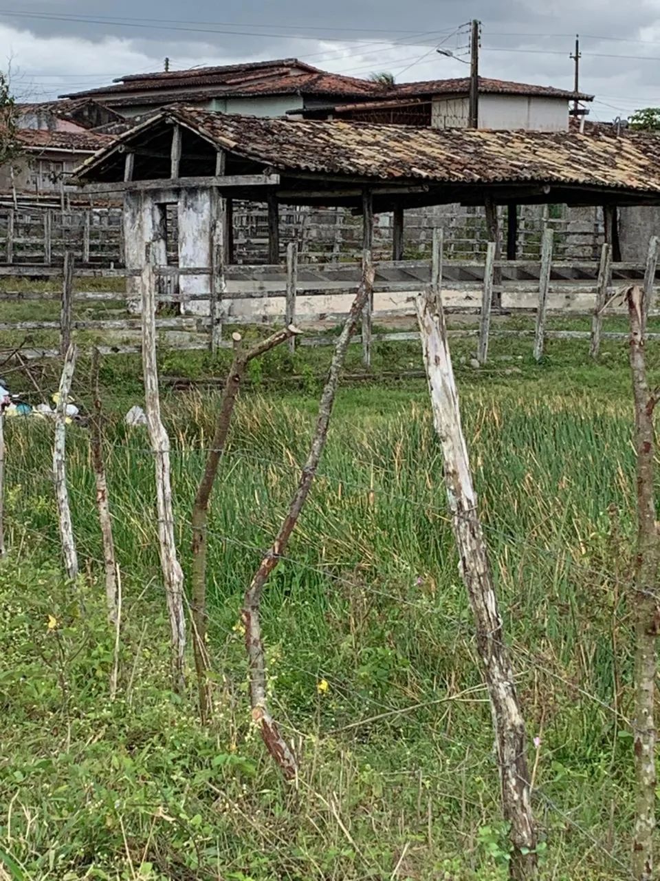 Foto - Santo Antônio - Santo Antônio