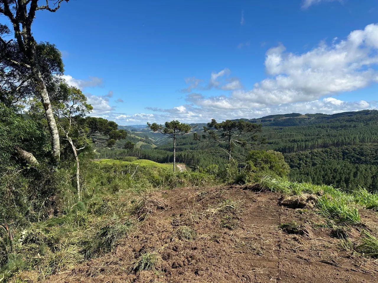 Sitio  com vista espetacular! - Foto 7