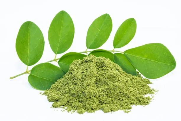 Farinha de Moringa Oleífera, Folhas e Sementes A partir de 100g Enviamos para todo Brasil.