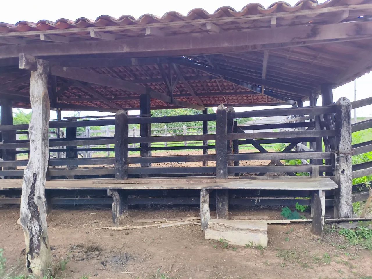 148; tarefas há margem da BR 116 há 20 km de Feira de Santana  - Foto 4