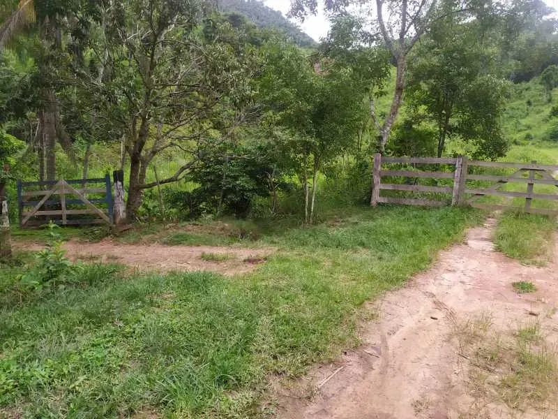 Sítio : / Rural / Zona Rural - Foto 2