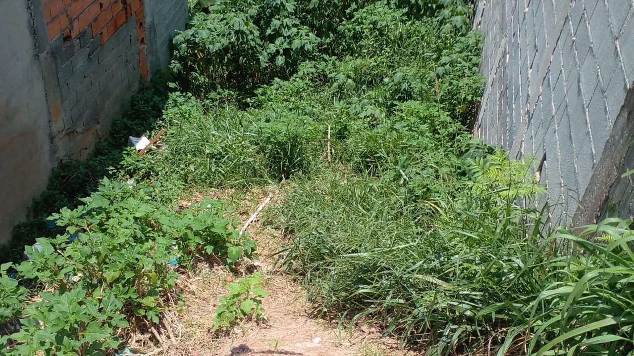 Foto - Itaquaquecetuba - Parque Recanto Mônica