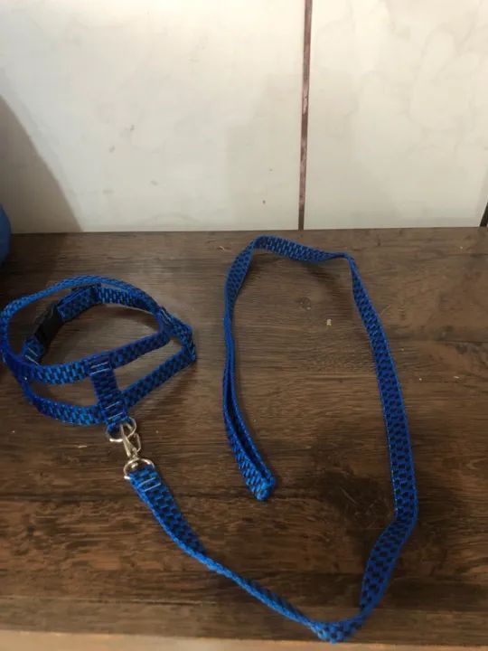 Bolsa de transporte tamanho médio  - Foto 3