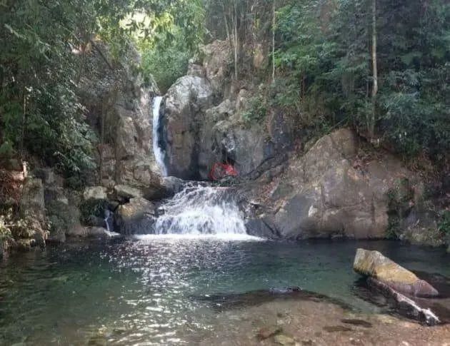 Fazenda em Tocantins com 317 Alqueires (1.574 Hectares) - Alto Potencial para Pecuária e A