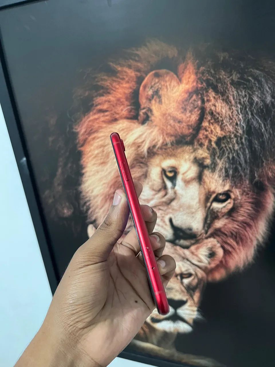 iPhone Xr64294910096642123