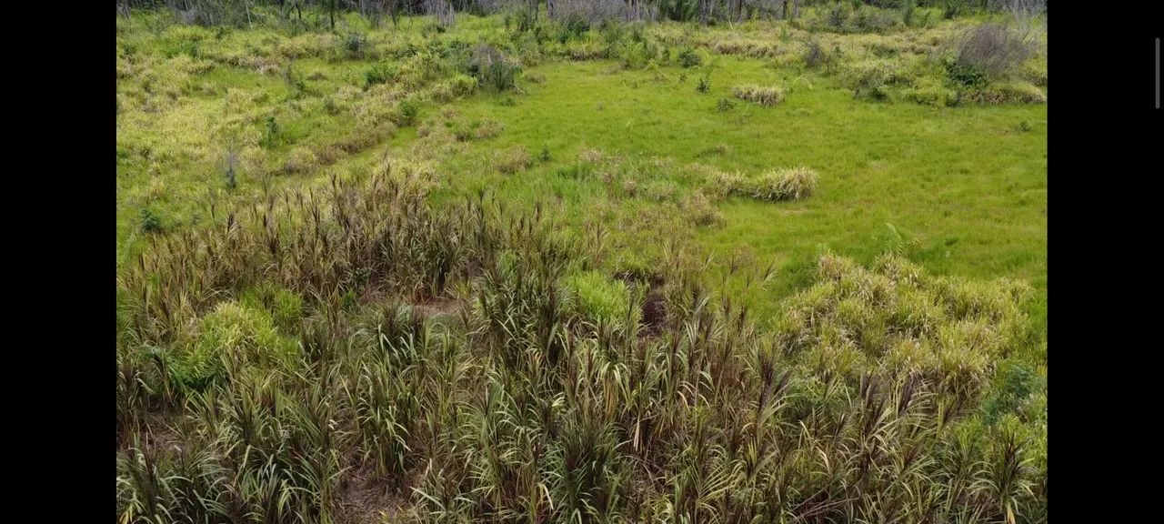 Troco por casa ou carro terreno na região do Cantá/Tatajuba 2/Vicinal2/Confiança 3 - Foto 5
