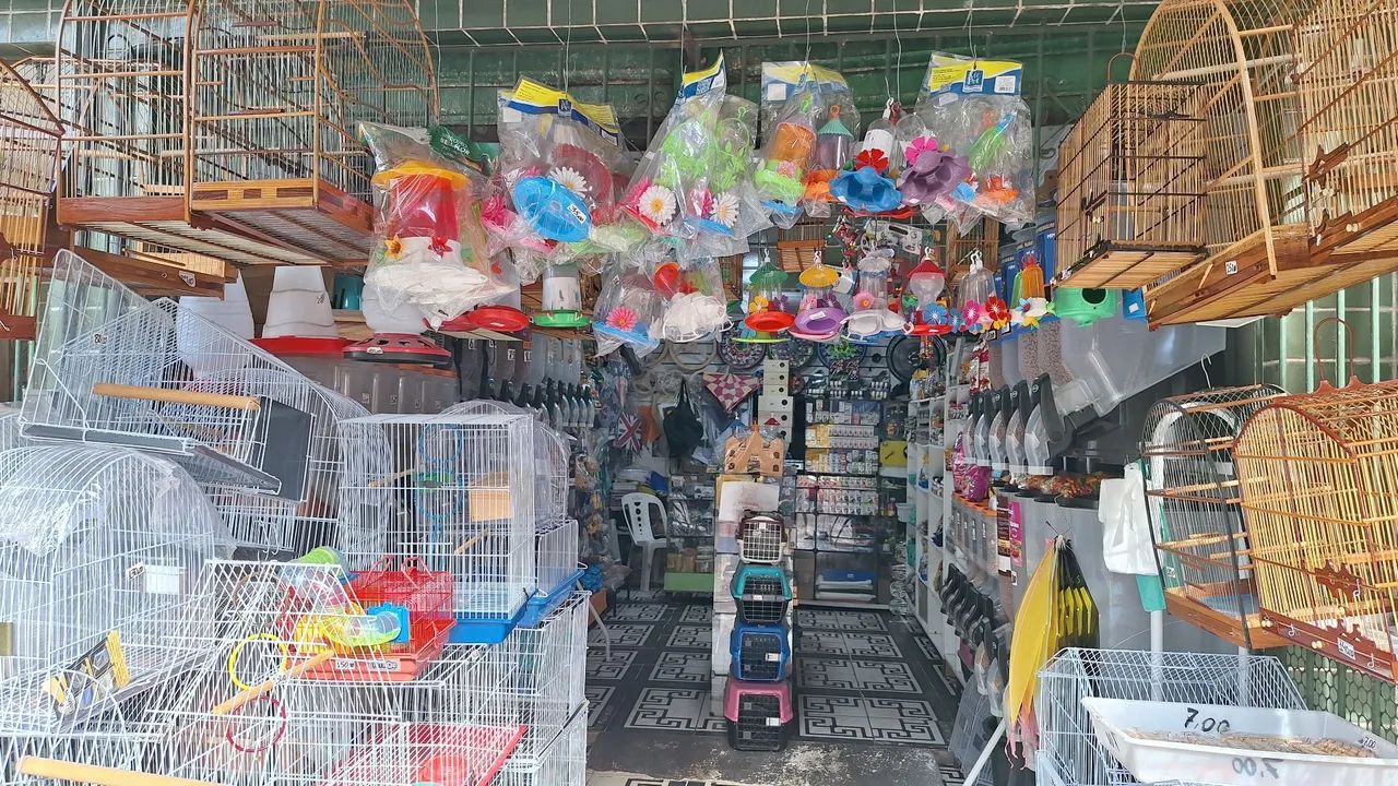 Viveiros gaiolas e assessórios  - Foto 3