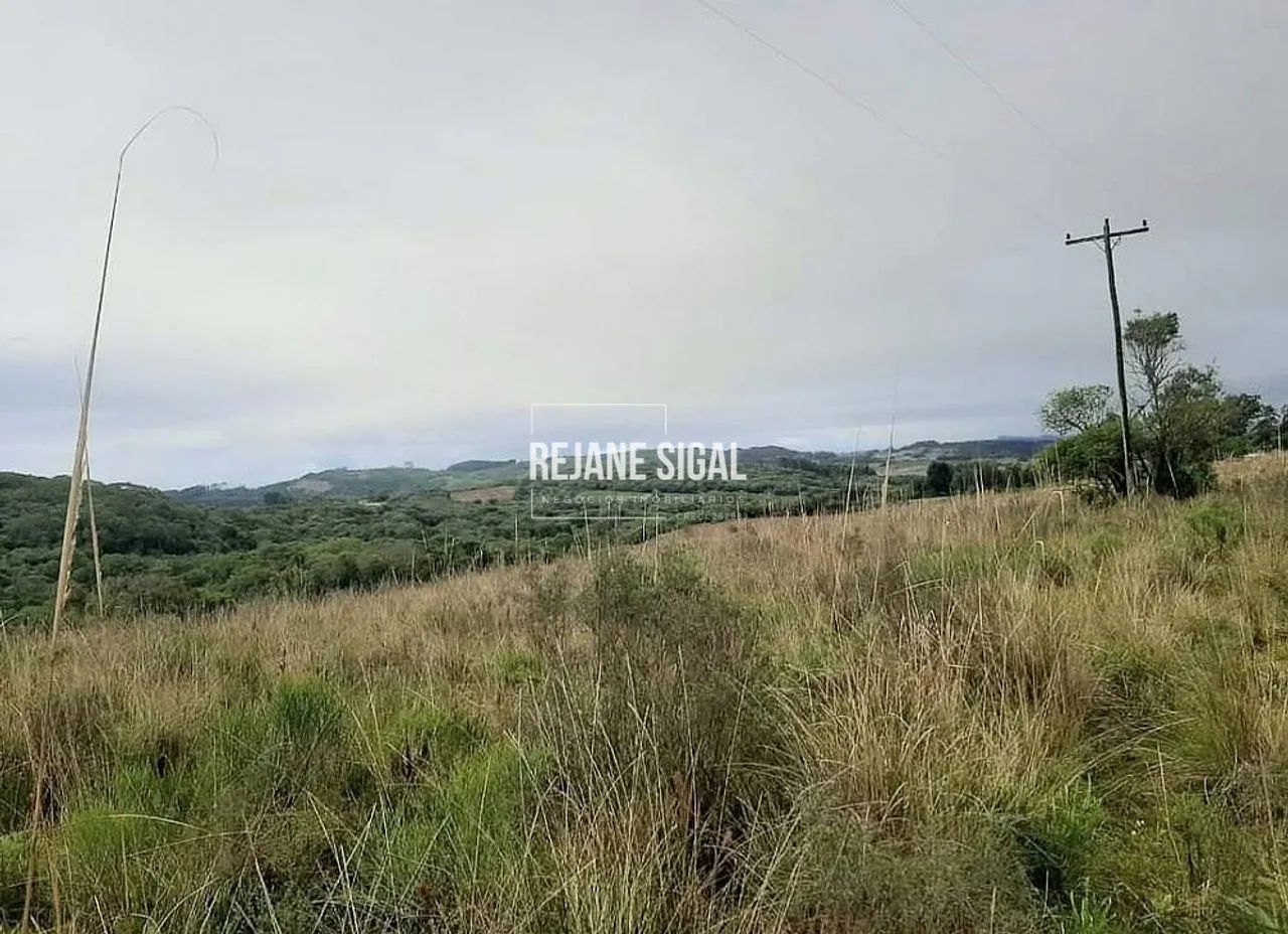 Propriedade rural em Cerrito - Foto 2