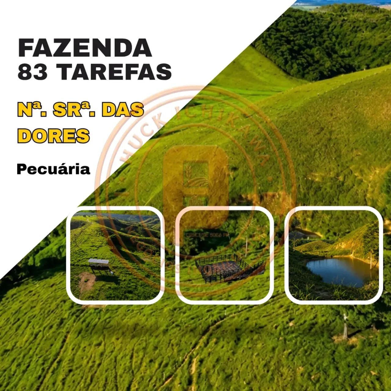 FAZENDA - 83 Tarefas - Nossa Senhora das Dores - Foto 5