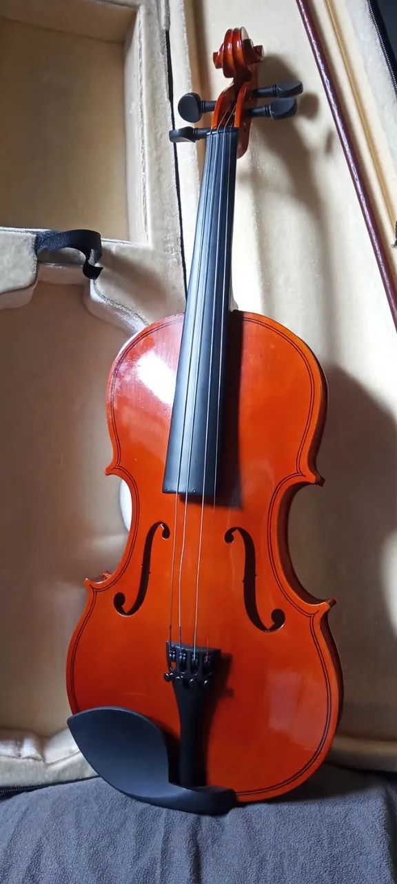 Violino Iniciante