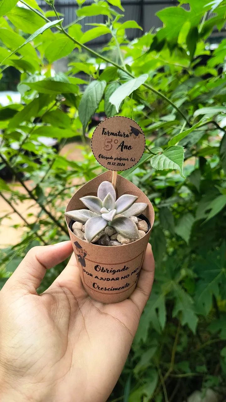 Lembrancinhas de cactos e suculentas  - Foto 4