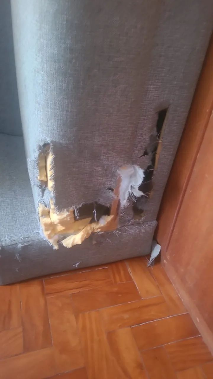 Sofá - Foto 3