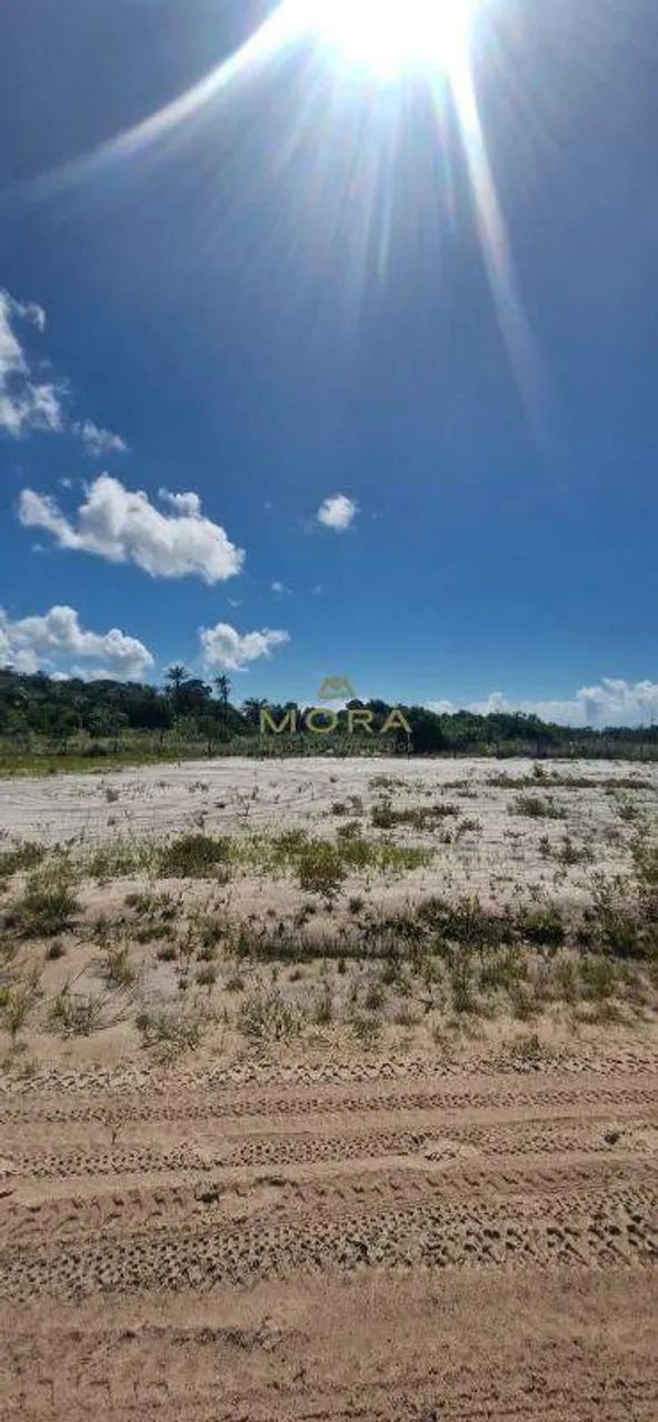Lotes lado praia Taipu de Fora - Foto 5