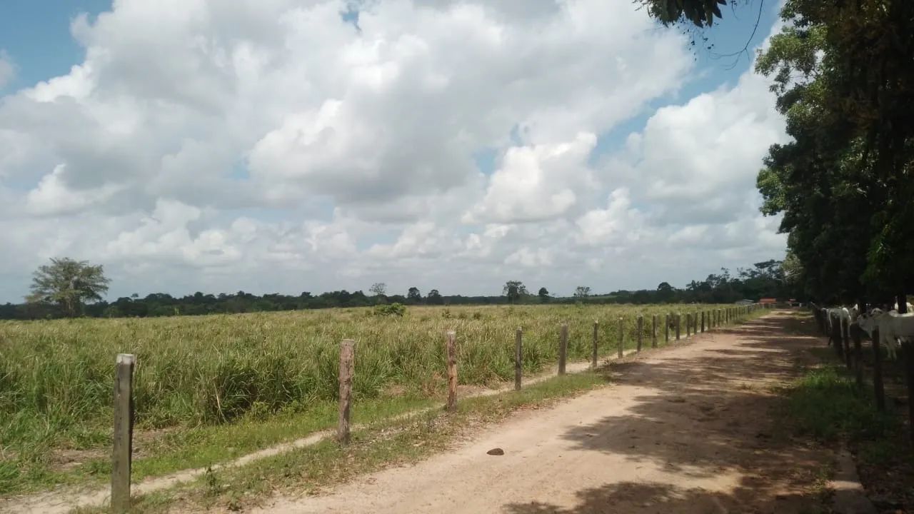Fazenda em Santa Maria  - Foto 4