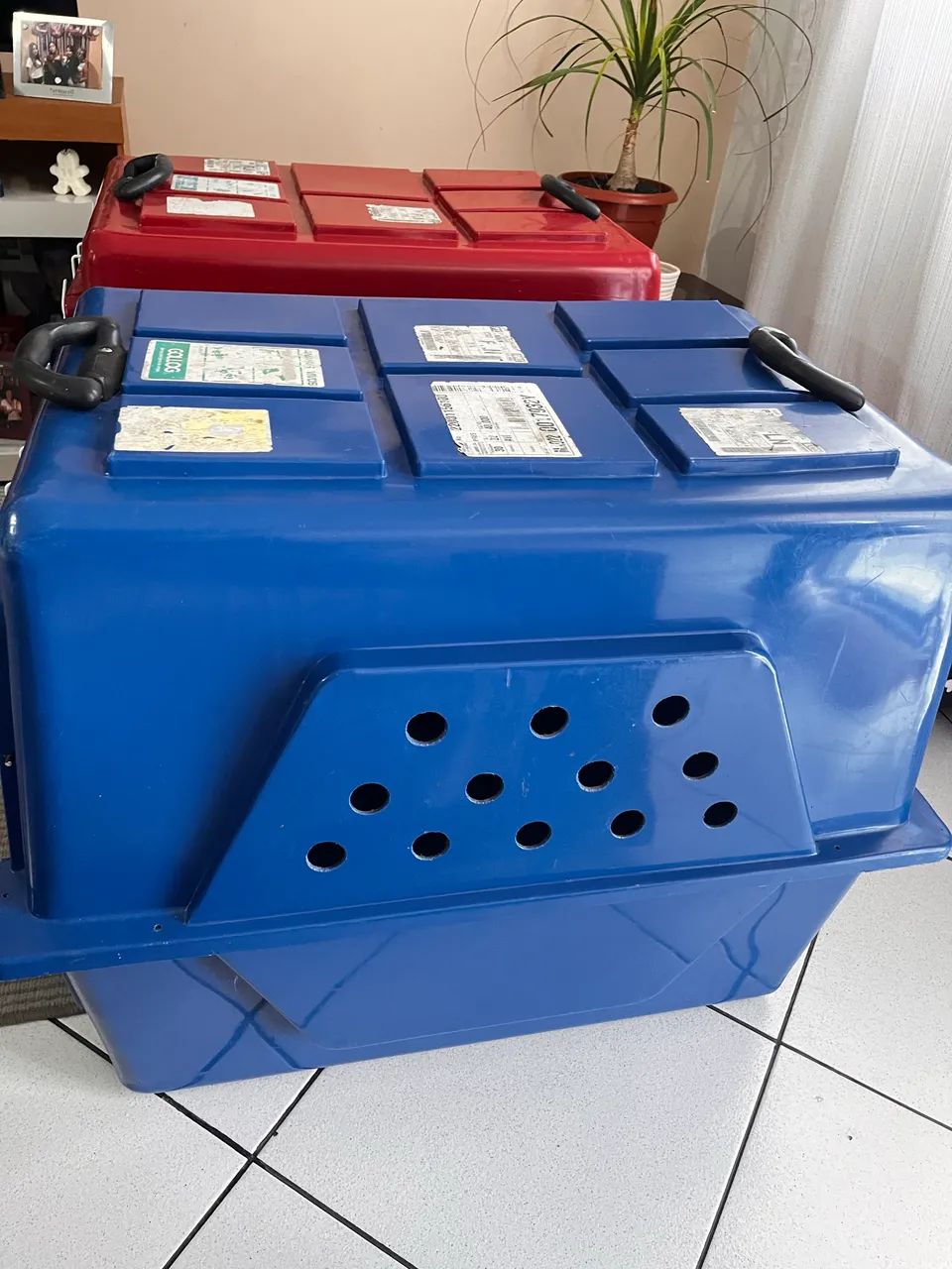 Caixa para transporte Pet - Foto 4