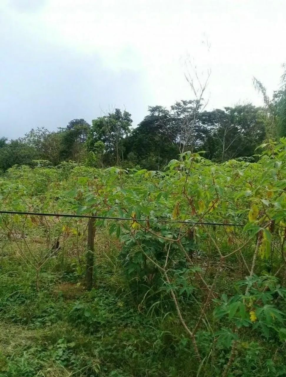 VENDO TERRENO OU TROCO - Foto 2
