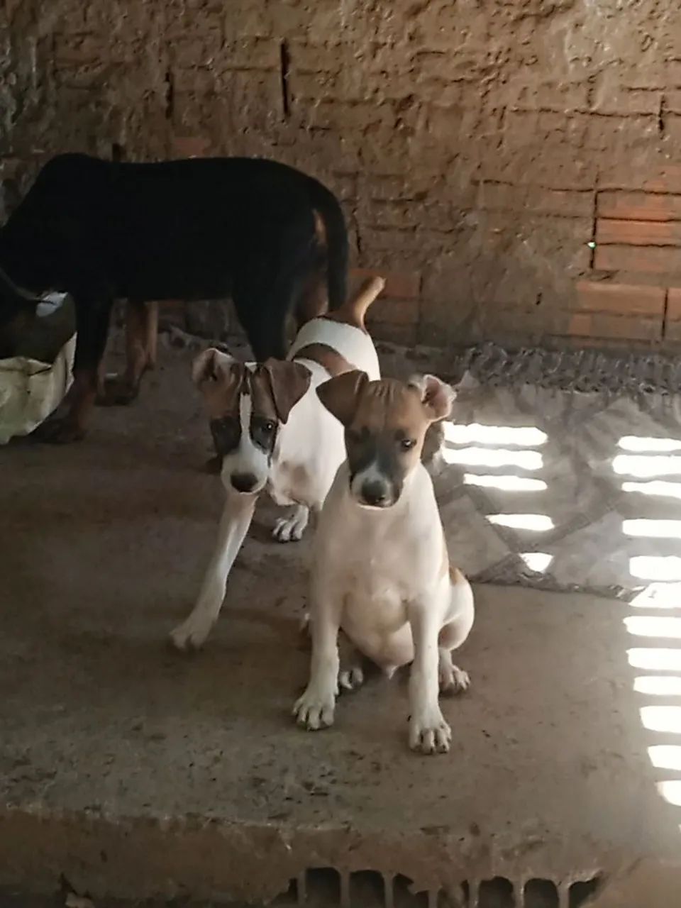 Doação consciente  - Foto 3