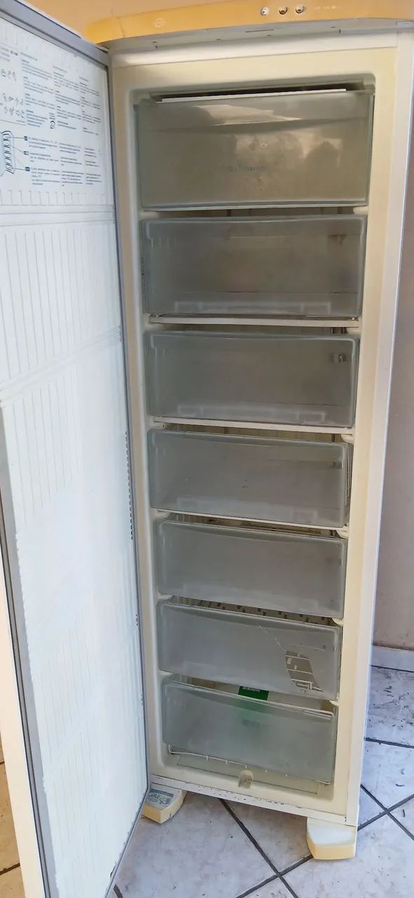 Freezer Electrolux 260L - Foto 4