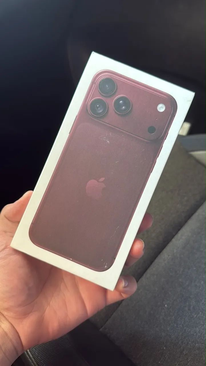 18 Pro max bordo 