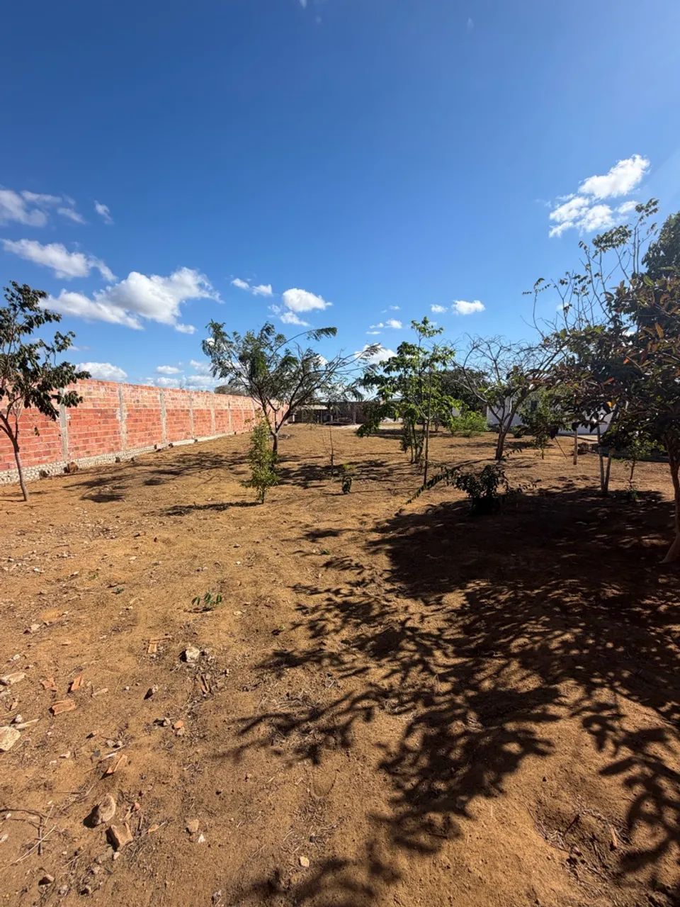 Terreno murado  - Foto 3
