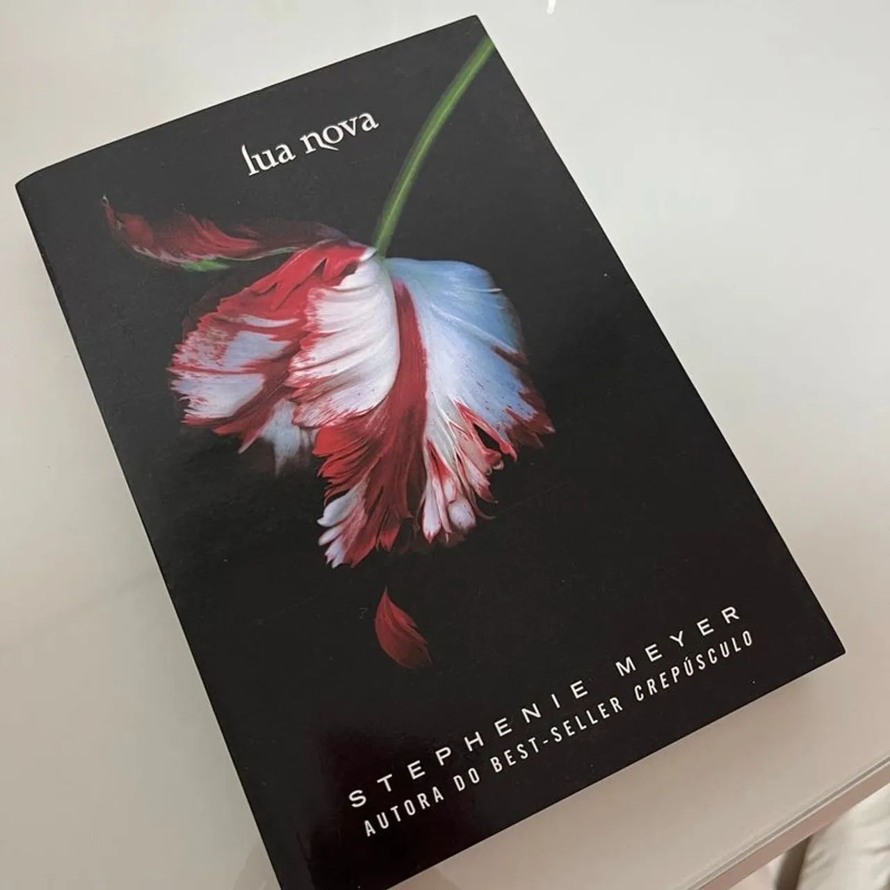 livro crepúsculo lua nova