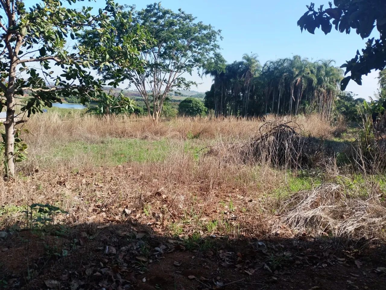 Chácara/Sítio próximo a Nova Veneza - Goiás - Foto 3