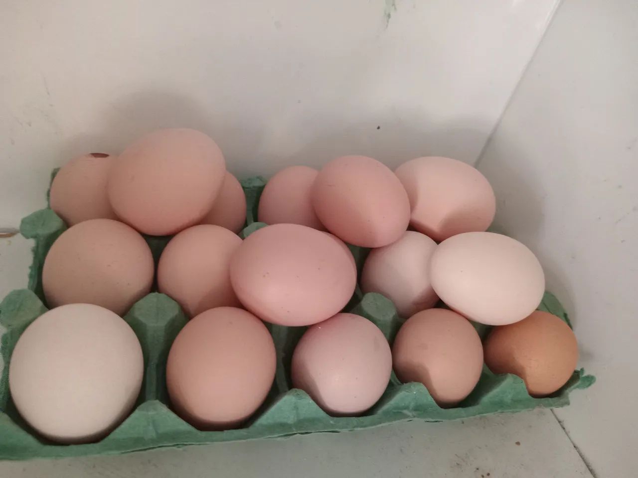 Ovos de galinhas caipiras