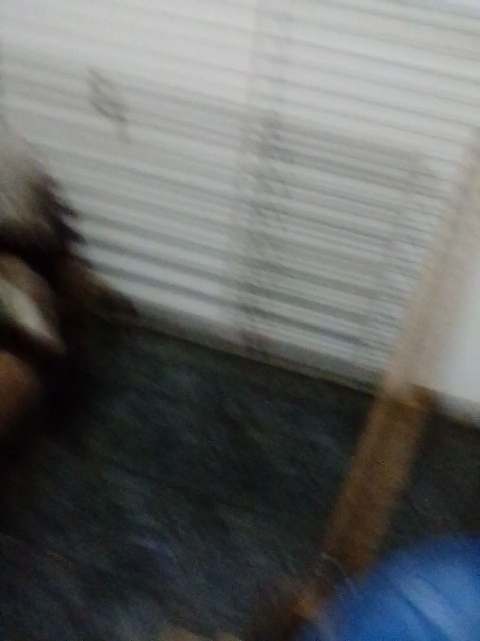 Portão 
