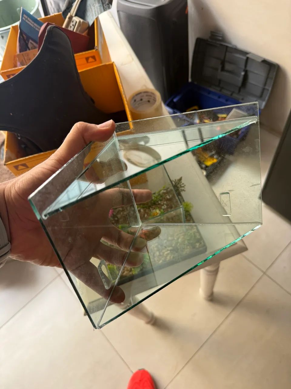 Aquário Betta Beteira completo - Foto 5