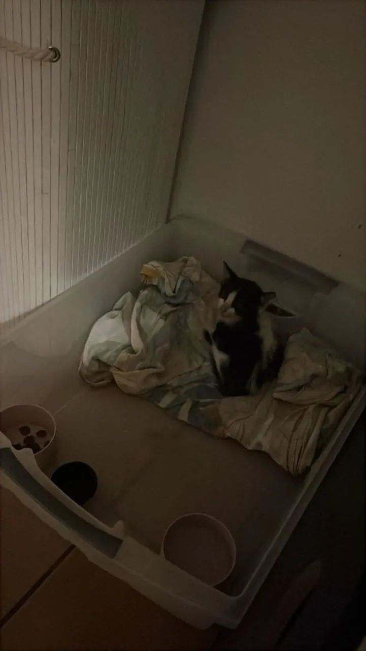 Ele não precisa de luxo, só de alguém que fique 