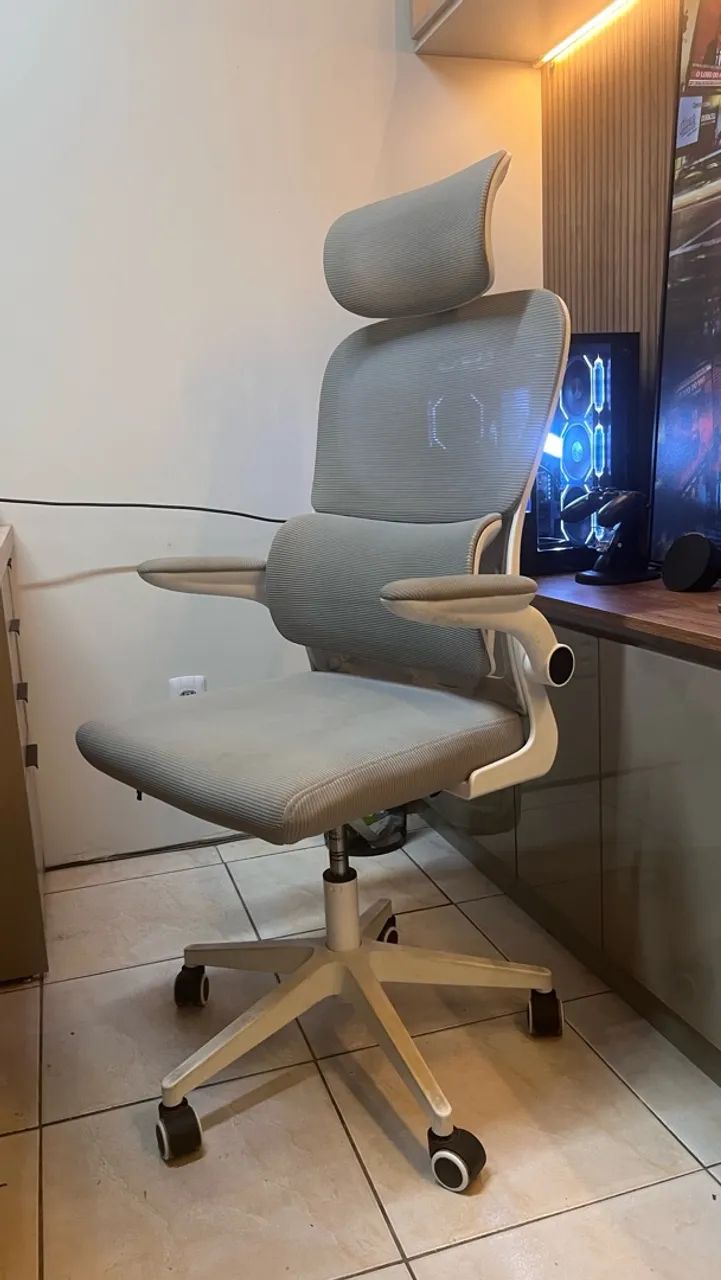 Cadeira ergonômica 