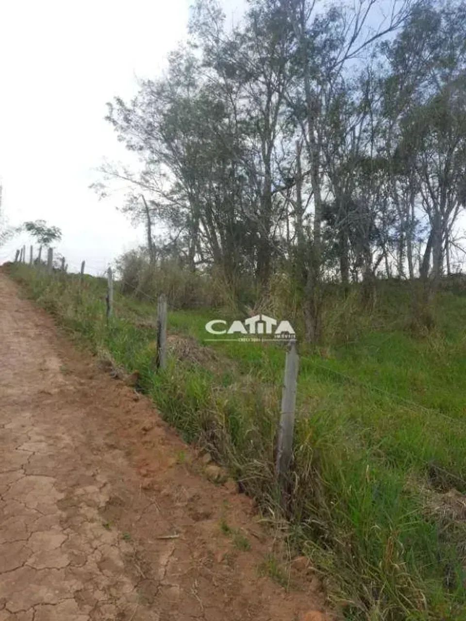 Terreno à venda, 2000 m² - Salesópolis - /SP - Foto 3