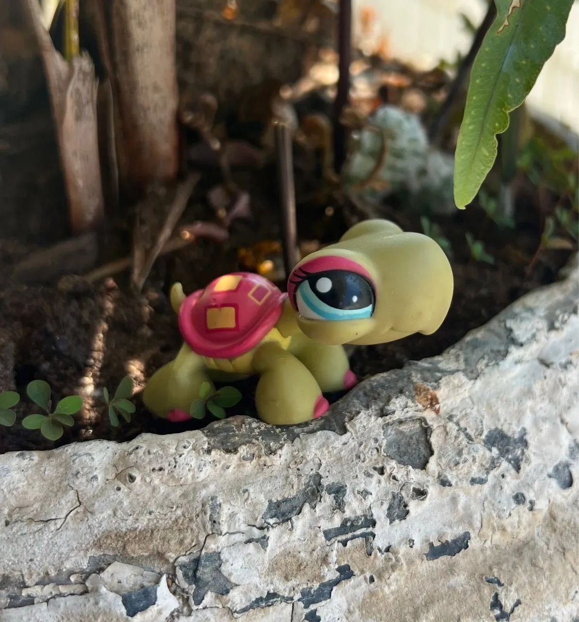 Littlest Pet Shop tartaruga 
