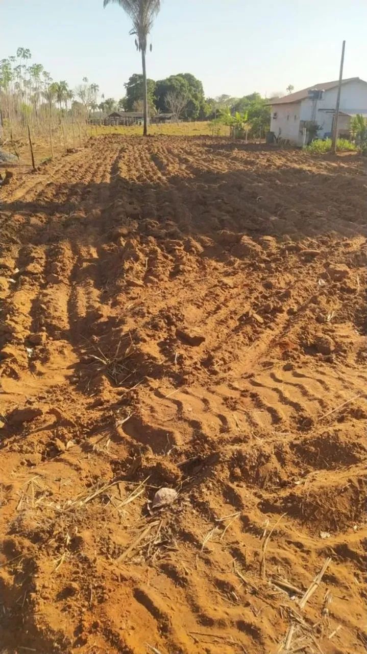 Lote setor de xhacara
